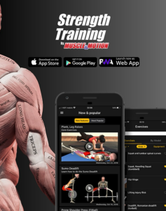 האנטומיה של היוגה